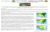 Las condiciones climáticas de agosto favorecieron la etapa de … · 2020. 9. 7. · En el Pipian se reporta presencia de mosca blanca en Malpaisillo, San Ramón y ... Los acumulados