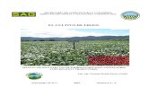 EL CULTIVO DE FRIJOL - UNA2.3 Sistema de cultivo y densidades de siembra 2.3.1 Sistema de siembra en monocultivo 2.3.2 Sistema de siembra en relevo 3 Fertilización 4 Riego 5 Selección