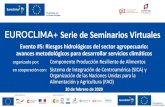EUROCLIMA+ Serie de Seminarios Virtuales - EUROCLIMA+ es un programa financiado por la ...euroclimaplus.org/images/2020/PRA/Webinar_5/Presentacion... · 2020. 4. 16. · Estrategia