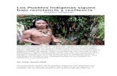 amerindiacontinental · Web viewEn Venezuela habitan muchos pueblos indígenas, con cultura e identidad propia, pueblos que viven muy de cerca con la madre naturaleza y su riqueza
