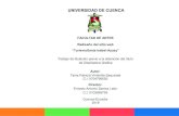 UNIVERSIDAD DE CUENCAdspace.ucuenca.edu.ec/bitstream/123456789/31399/1/Trabajo... · 2020. 8. 3. · UNIVERSIDAD DE CUENCA FACULTAD DE ARTES Rediseño d e l sitio web “TurismoSanta