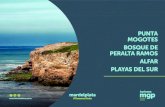 Turismo Mar del Plata - PUNTA MOGOTES BOSQUE DE ...La Playa Escondida, única naturista de Mar del Plata, se ubica a 25 km. de la rotonda del Faro. Por sus características, no se
