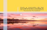 Guía y consulta de las SUBVENCIONES - Turismo de Islas Canarias · 2020. 10. 16. · 4 El objetivo principal es la recuperación del sector turístico de las Islas Canarias mediante