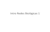 Intro Redes Biológicas 1materias.df.uba.ar/scytda2020c1/files/2020/04/04_Intro... · 2020. 4. 23. · Intro Redes Biológicas 1 . Cuestión de escala Sistemas biológicos: complejidad