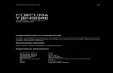 CÚRCUMA Y JENGIBRE - cadena hortofruticolacadenahortofruticola.org/admin/bibli/139phn_cap_7_04... · 2020. 5. 17. · Costos de producción Los costos de establecimiento y primer