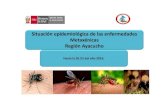 Presentación Ayacucho metaxénicas · 2017. 2. 7. · 2 43 c 5a m 24/10/2016 grupo iv dengue grave mayapo llochegua 10/11/2016 hosp.nacional 02 de mayo desnutriciÓn brote de dengue