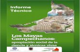 INFORME TÉCNICO LOS MAYAS CAMPECHANOS 187875 · INFORME TÉCNICO LOS MAYAS CAMPECHANOS 187875 2 COESICYDET Consejo Estatal De Investigación Científica y Desarrollo Técnológico