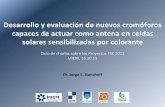 Presentación de PowerPoint - MIEM€¦ · Proyecto: objetivos Desarrollo de una DSSC operando con una eficiencia no menor al 7 % Empleo de pigmentos naturales Estudio teórico (DFT)