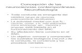 Concepción de las neurociencias contemporáneas ...formación reticular (sistema de alerta y atención) Prof. Maria del Pilar Kufa Siete regiones anatómicas principales del SNC (3)