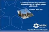 Confederación de Organizaciones Empresariales de Castilla ...€¦ · Confederación de Organizaciones Empresariales de Castilla y León (CECALE) Valladolid, Marzo 2012 Republica