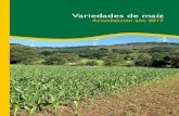 Variedades de maíz - SERIDA · 2018. 4. 3. · La densidad de siembra deseada se calcula ajustando la distancia entre plantas den-tro de una misma línea de cultivo según la siguiente