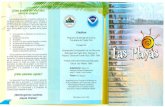 DRNA | Navega por el ambientedrna.pr.gov/wp-content/uploads/2019/02/Las-Playas.pdfgran cantidad de material suspendido y corrientes marinasáuertes. Organismos que habitan playas Debido