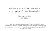 Microsimulaciones: e Interpretación de Resultados...Microsimulaciones: Teoría e Interpretación de Resultados Cuarto Taller de Capacitación del Proyecto “Fortalecimiento de la