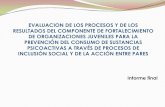 EVALUACION DE LOS PROCESOS Y DE LOS RESULTADOS DEL ...cicad.oas.org/...institucional/savia/...evaluacion.pdf · 1) El proyecto evaluado y su componente de fortalecimiento a organizaciones