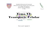 Tema VI: Transporte Celular · 2018. 9. 11. · Tema VI: Transporte Celular República Bolivariana de Venezuela Ministerio del Poder Popular para la Educación U.E. Colegio “San
