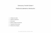 Estructura y Función Celular II Practica de Laboratorio. Introducción.sgpwe.izt.uam.mx/files/users/uami/lebo/EFC_II__2020/... · 2020. 12. 9. · Prof. Leticia Bucio Ortiz. Depto.