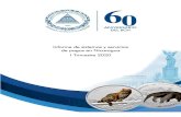 Informe de Sistemas y Servicios de Pagos- I Trim de 2020Informe de sistemas y servicios de pagos en Nicaragua I Trimestre 2020 2 RESUMEN EJECUTIVO Durante el primer trimestre de 2020