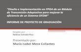 María Isabel Mera Collantes...RESUMEN •Este proyecto consiste en el estudio y desarrollo de un módulo de transmisión adaptativa para un sistema OFDM (Orthogonal Frequency Division