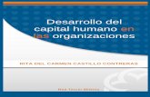 Desarrollo del capital humano en las organizaciones · 2019. 5. 30. · 1.1. Qué es el capital humano 11 1.1.1 Generalidades y encuadre en el ámbito de los procesos organizacionales