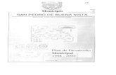 Municipio SAN PEDRO DE BUENA VISTA - BIVICA · 2015. 12. 24. · SAN PEDRO DE BUENA VISTA. Plan de Desarrollo. Municipal 1998 - 2002. AJUSTE PLAN DE DESARROLLO MUNICIPAL "SAN PEDRO