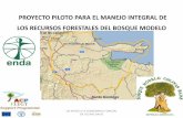PROYECTO PILOTO PARA EL MANEJO INTEGRAL DE LOS … · 2016. 7. 7. · proyecto piloto para el manejo integral de ... forestales y no forestales de la región ... • alcaldias de