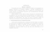 CAPITULO II MARCO TEÓRICO - URBEvirtual.urbe.edu/tesispub/0093452/cap02.pdfproblemas que derivan de su aplicación, saber los efectos que tendrá la implantación de la nueva reforma