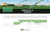 MEZCLA VERD A4 - Césped Natural Novogreen · 2020. 10. 26. · CARACTERÍSTICAS Mezcla Verd CUIDADO ESTÉTICAS Uso Jardinería de alto nivel, golf, fútbol, terrenos deportivos,
