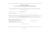 Honorable Corte de Constitucionalidad - Alexander Aizenstatdaizenstatd.com/wp-content/uploads/2017/09/... · 2017. 9. 27. · Inconstitucionalidad parcial de Ley de carácter General