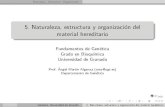 5. Naturaleza, estructura y organización del material hereditarioama/fdg/pdf/fdg05.pdf · 2018. 10. 16. · NaturalezaEstructuraOrganizaci on 5. Naturaleza, estructura y organizaci