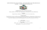 UNIVERSIDAD NACIONAL AUTONOMA DE NICARAGUA UNAN … · 2016. 9. 2. · 1 UNIVERSIDAD NACIONAL AUTONOMA DE NICARAGUA UNAN – FAREM MATAGALPA SEMINARIO DE GRADUACIÓN Para optar al