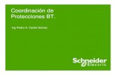 Coordinación de Protecciones BT. · 2014. 12. 5. · Isc Â 100 % t A2 I2sc Energía presunta 100 % Energía limitada 1 % < 1 % 100 % . Schneider Electric - Pedro Cediel 14 Curva