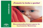 Recomendaciones para la Lactancia Materna · 2018. 8. 23. · La mayoría de los problemas con la lactancia materna se deben a una mala posición, a un mal agarre o a una combinación