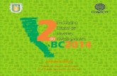 MEMORIA - UABCposgrados.uabc.mx/pdf/ActividadesdifusionCTI/jovenes...5 10. Política de recuperación del salario mínimo en México………………………………….. 40 11.