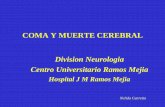 COMA Y MUERTE CEREBRAL - Neurologia Ramos Mejia · 2016. 2. 1. · MUERTE CEREBRAL • Muerte cerebral: es el cese irreversible de todas las funciones de las estructuras intracraneales
