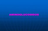 AMINOGLUCOSIDOS...I Historia: Los aminoglucosidos fueron introducidos en 1943. Wasksman aisló la estreptomicina (cepa de streptomyces griseus). Fue el 1er. Antimicrobiano activo frente