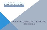 DOLOR NEUROPÁTICO HERPÉTICO · 2017. 2. 20. · NEURALGIA POST HERPÉTICA (ESTADIO III) Fase de perpetuación del dolor NEURALGIA POST HERPÉTICA(ESTADIO III) FASE DE PERPETUACIÓN