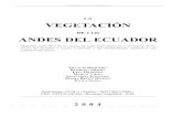 LA VEGETACION ANDESDELECUADOR · VEGETACION DE LOS ANDESDELECUADOR Memoria explicativa de los mapas de vegetación potencial y remanente de los Andes del Ecuador a escala J:250.000