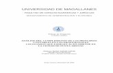 UNIVERSIDAD DE MAGALLANESumag.cl/biblioteca/tesis/andrade_ galindo_2006.pdf · Bibliografías: Alburquenque, J. 1992. Sistema Contable de Gestión. Chile,: MBA.CPA. Bosch, J., y L.