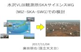 水沢VLBI観測所SKAサイエンスWG (MIZ-SKA-SWG)での検討...目標（2章） •将来SKAが実現した際に、水沢VLBI観測所がSKA のサイエンスにどう関わりうるかを検討する