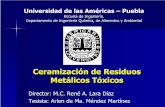 Ceramización de Residuos Metálicos Tóxicoscatarina.udlap.mx/u_dl_a/tales/documentos/leia/mendez_m_ad/apendiceH.pdfObjetivos Específicos Caracterizar física y químicamente las
