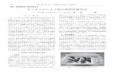 00 012 目次jppa.or.jp/archive/pdf/68_12_04.pdfカンキツかいよう病の病原性検定法 ― 5 ― 721 を準備する。用土は果樹用として市販されているもので