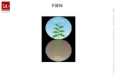 FBN - microbioblogueando · 2015. 6. 9. · UNRN FBN FBN: • Proceso que permite reincorporar N en al biósfera. • Permite que el N atmosférico (no disponible para las plantas)