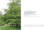 Captulo ENERGÍA EÓLICA · 2020. 9. 8. · Captulo ENERGÍA EÓLICA Por Hugh Rudnick Van De Wyngard 3URIHVRU7 LWXODU3 RQWL¿FLD8 QLYHUVLGDG& DWyOLFDG H &KLOH LA GENERACIÓN EÓLICA