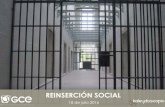 REINSERCIÓN SOCIAL · 2019. 10. 7. · EVALUACIÓN DE LA REINSERCIÓN SOCIAL 25 . 1 PERCEPCIÓN DEL DELINCUENTE 3 . n= 600 4 13.3% 82.9% 1.1% 2.7% Sexo ¿Considera que en México