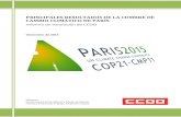 PRINCIPALES RESULTADOS DE LA CUMBRE DE CAMBIO …istas.net/descargas/Informe de Valoracion Cumbre de Paris 2015.pdfConvención Marco de Naciones Unidas sobre Cambio Climático. No