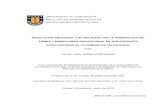 UNIVERSIDAD DE CONCEPCIÓN DEPARTAMENTO DE PSICOLOGÍArepositorio.udec.cl/jspui/bitstream/11594/966/1/Tesis... · 2020. 12. 14. · universidad de concepciÓn facultad de ciencias