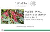 Procafe - PIACamecafe.org.mx/wp-content/uploads/2016/12/PRESENTACION.-ACCI… · organizaciÓn de productores de tlapacoyan s.p.r. de r.l 15 12 productores de planta para restauracion