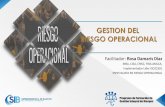 GESTION DEL RIESGO OPERACIONAL · 2020. 7. 21. · Función de Gestión de Riesgo Operacional •Identificar y evaluar el riesgo operativo inherente a todos sus productos, actividades,