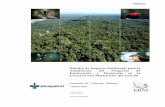 Estudio de Impacto Ambiental para la Ampliación del ......Ambiental para la Ampliación del Programa de Exploración y Desarrollo en la Locación San Martín Este del Lote 88 Plan