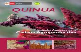 Cadena agroproductiva de la Quinua QUINUAciq.org.bo/images/recursosInformacion/repositorioDigital... · 2017. 8. 31. · Cadena agroproductiva de la Quinua 5 PRESENTACIÓN La Asamblea